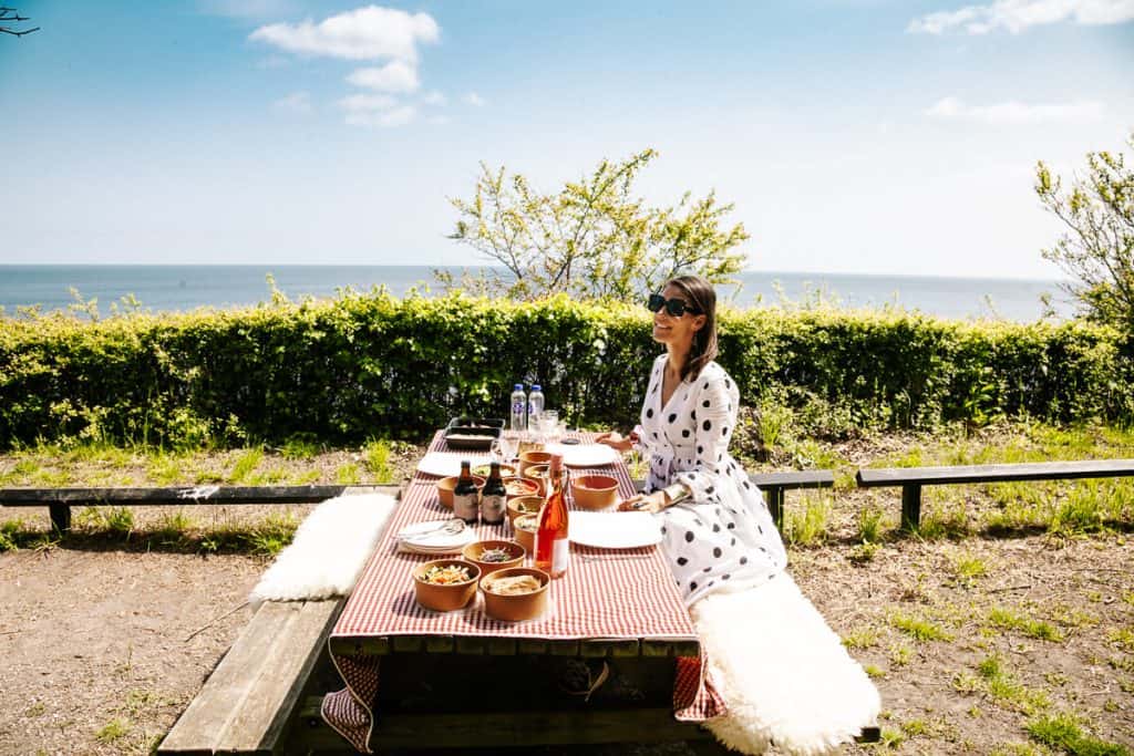 Picknick at Stevns Klint in South Zealand Denmark.