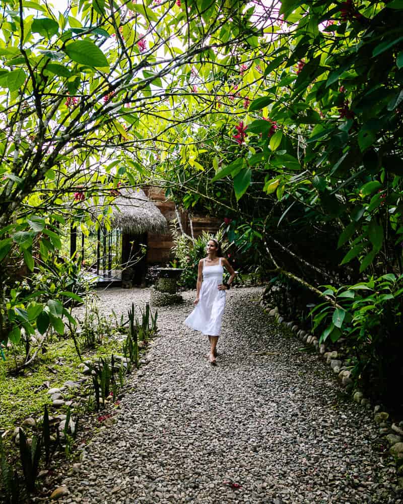 Discover Hamadryade Lodge Ecuador, a true paradise, located on a mountain in the rainforest, near the village of Rio Napo in the Amazon.