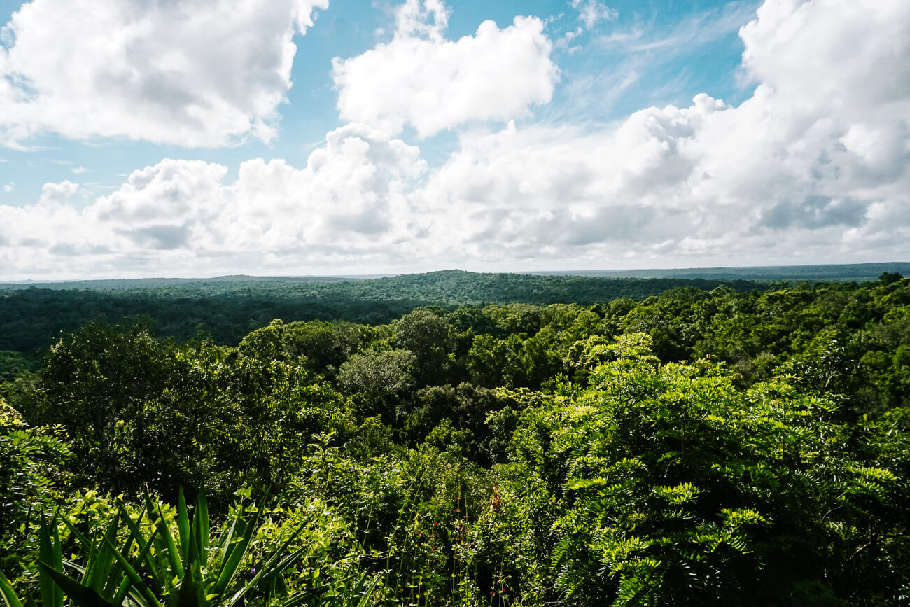 El Mirador in Guatemala.