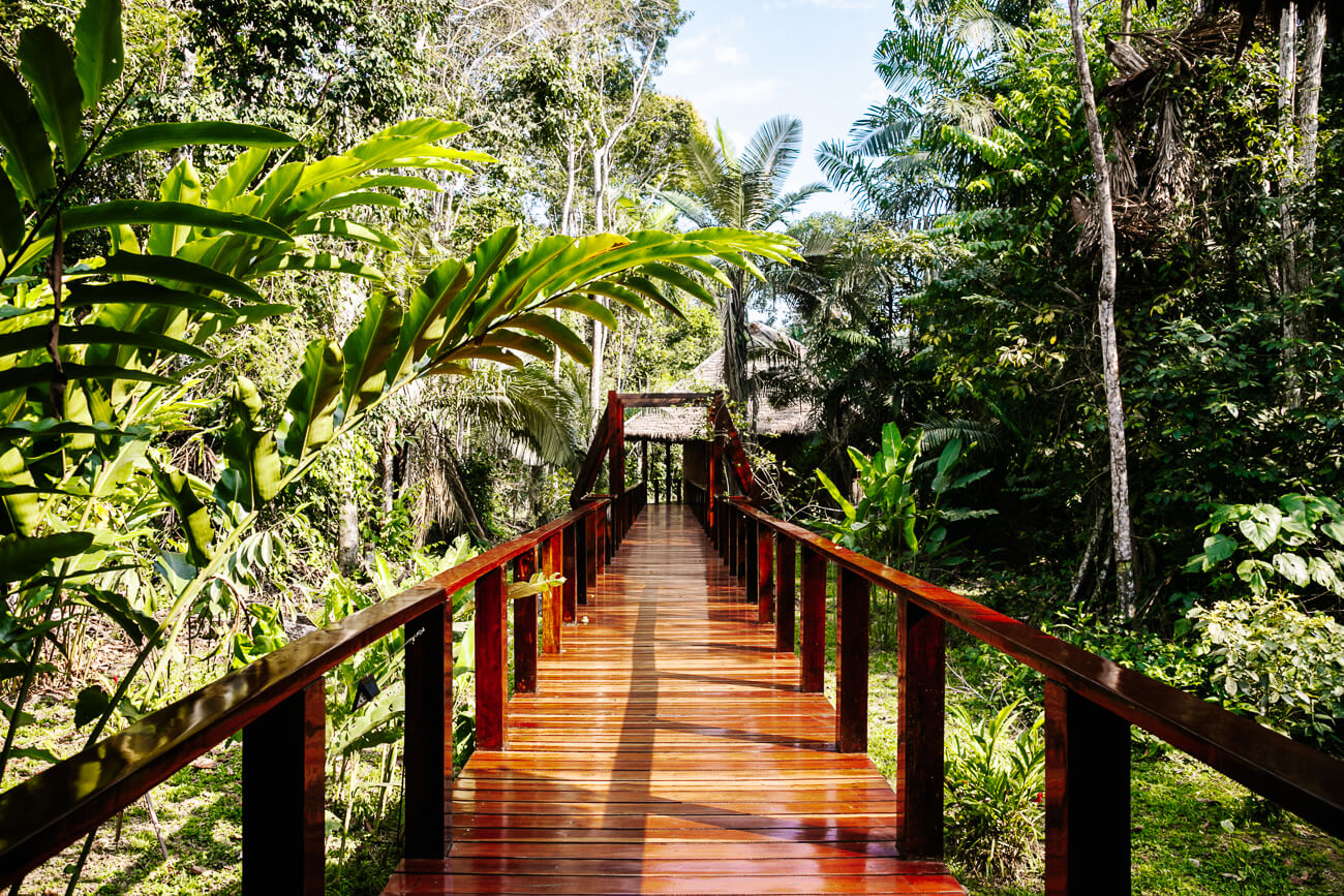 Posada Amazonas – Ontdek deze Rainforest Expeditions jungle lodge in Tambopata Peru!