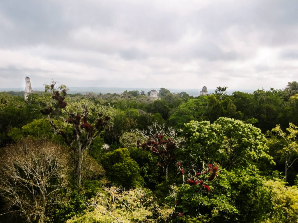 Include Tikal in your Guatemala itinerary 10 days.