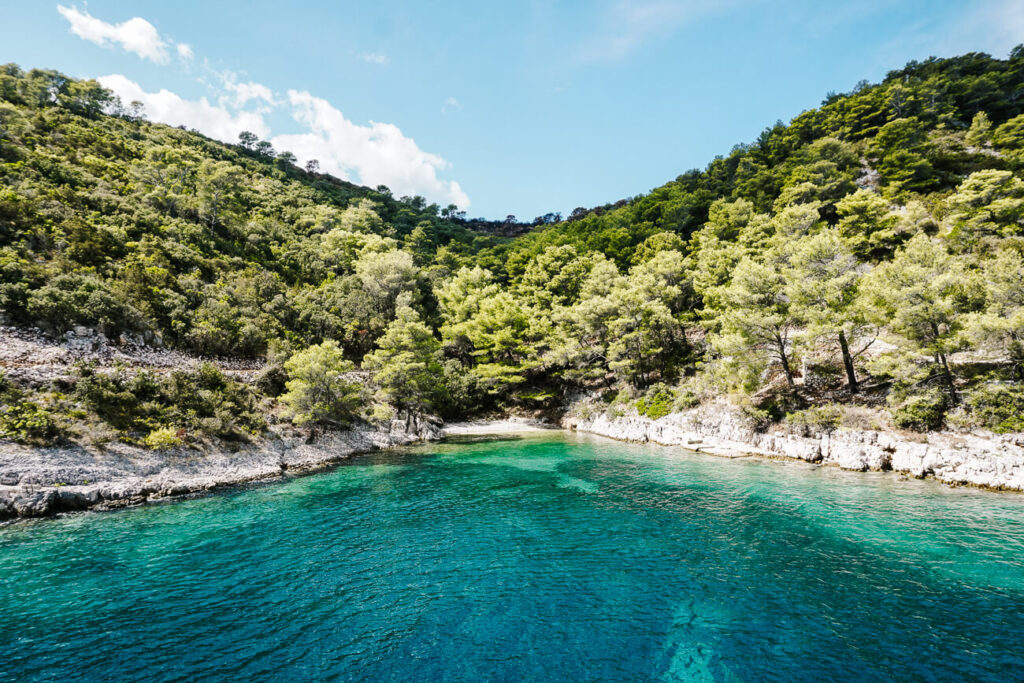 zwemstop tijdens SailCroatia cruise Kroatie
