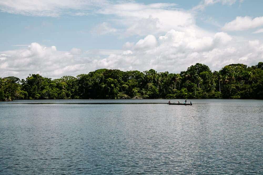La Selva Jungle Lodge bevindt zich in het Yasuní reservaat, net op de grens van het Yasuní Nationaal Park en is alleen per boot over de Rio Napo te bereiken.