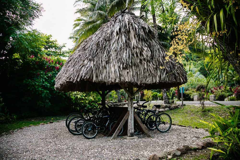 Bij de receptie is het mogelijk om een golfkarretje of fiets te huren en het natuurgebied op die manier te verkennen. 