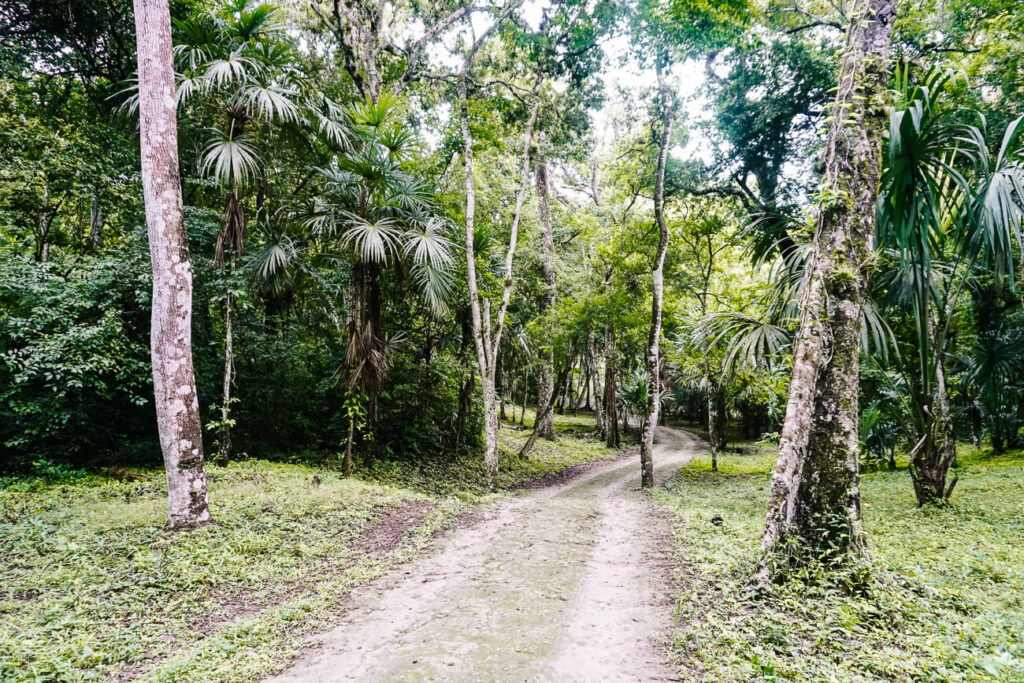 oude maya snelweg in Yaxha Guatemala