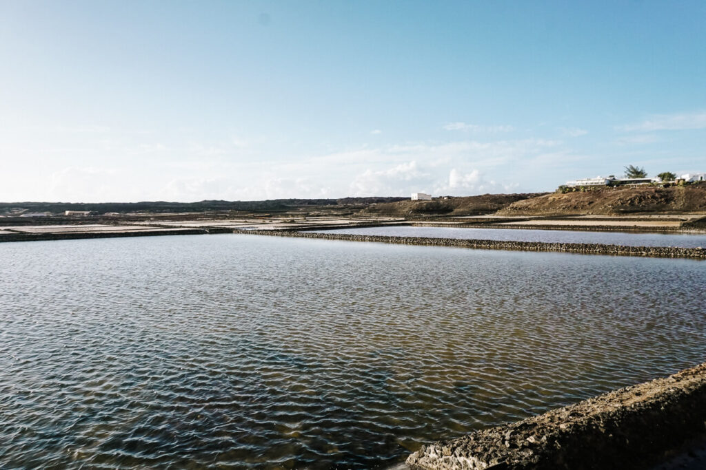 Salinas de Janubio - zoutpannen op Lanzarote.