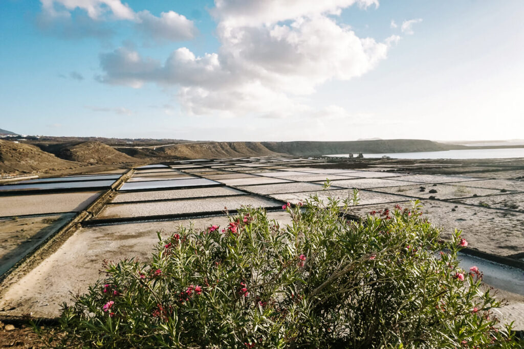 Uitzicht op Salinas de Janubio - zoutpannen op Lanzarote.