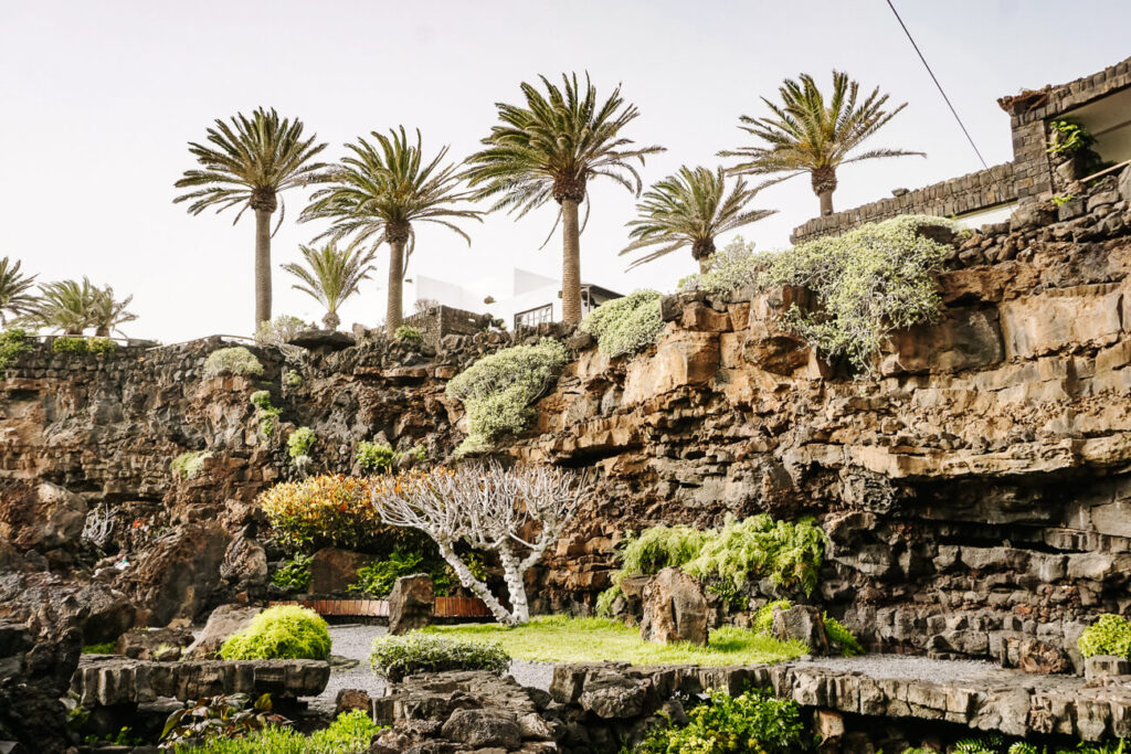Jameos de Agua maakt deel uit van het Atlántida grottenstelsel en is een soort scheur in een lavalaag, bestaande uit grotten en tunnels.
