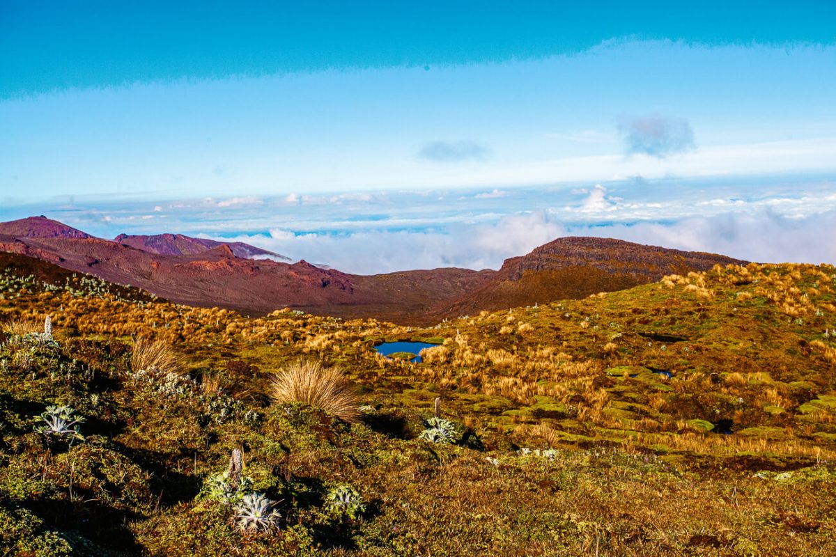 Purace National Park can be visited from Popayan.
