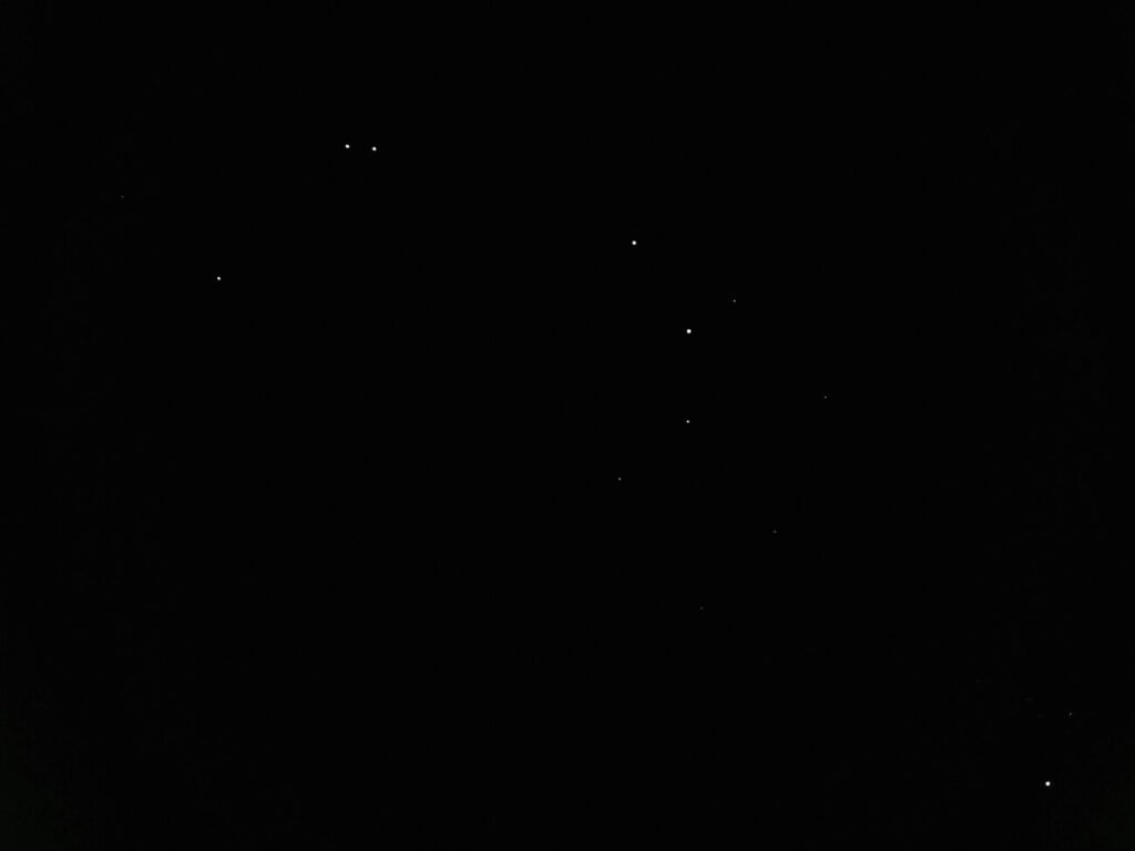 Bovendien liet gids Jarridson ons een heel bijzonder fenomeen zien, glow in the dark wormen. Een wand waar in het donker talloze fluoriscerende wormen uitkruipen, terwijl je er bij licht met het blote oog niets helemaal niets van ziet. Deze wormpjes geven licht om insecten aan te trekken, heerlijke maaltjes. 