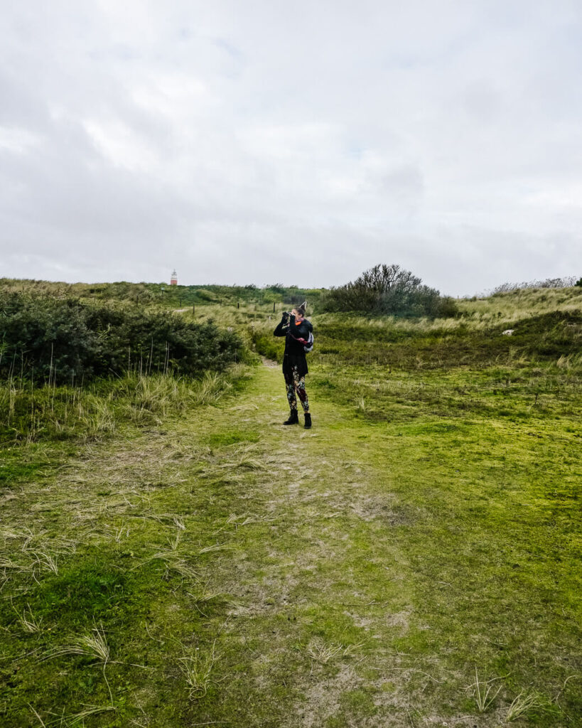 Texel wat te doen | vogels spotten