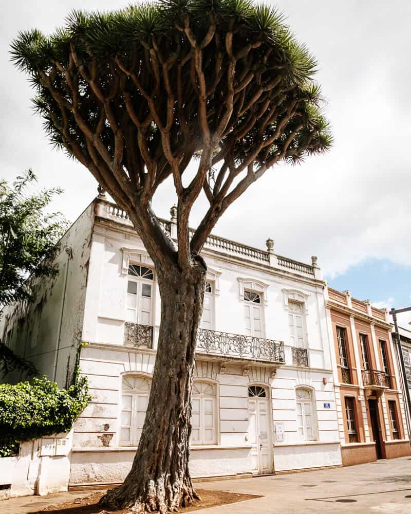 San Cristobal La Laguna in Tenerife is a lovely town with colorful houses, lovely streets.