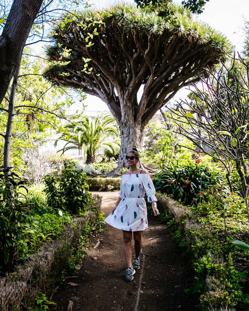 On Tenerife you will be amazed by the unique trees and vegetation. 