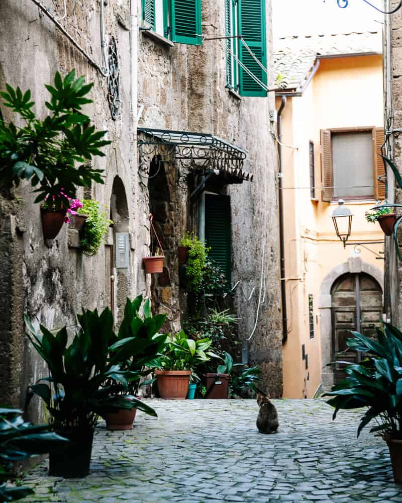 Capranica is a municipality in the province of Viterbo known for its medieval center. 