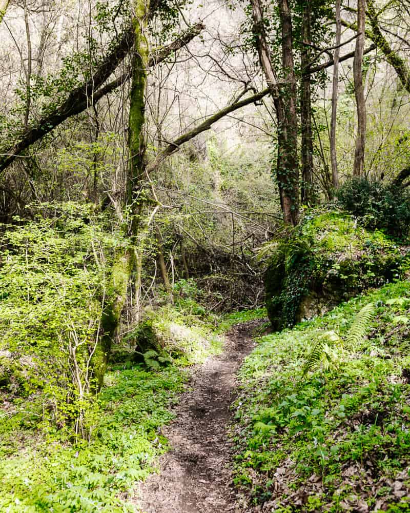 The camino Francigena trail to Rome is a nice combination between nature and culture.