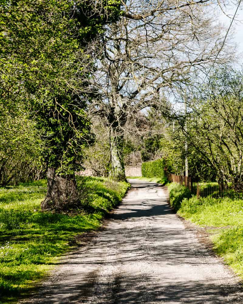 The Via Francigena is a historic pilgrimage route of almost 3000 kilometers that starts in Canterbury, England and continues through France and Switzerland to Rome and finally to the coast of Apulia in southern Italy. 