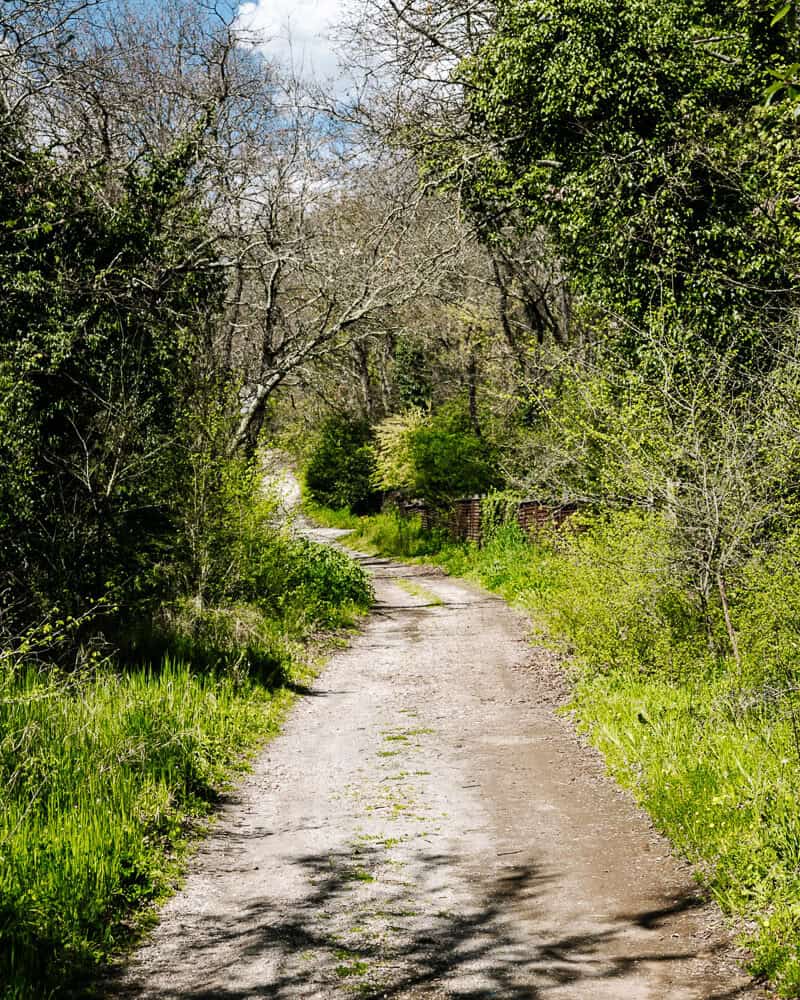 The Via Francigena route, from Canterbury to Rome, consists of 2030km and 16 stages.