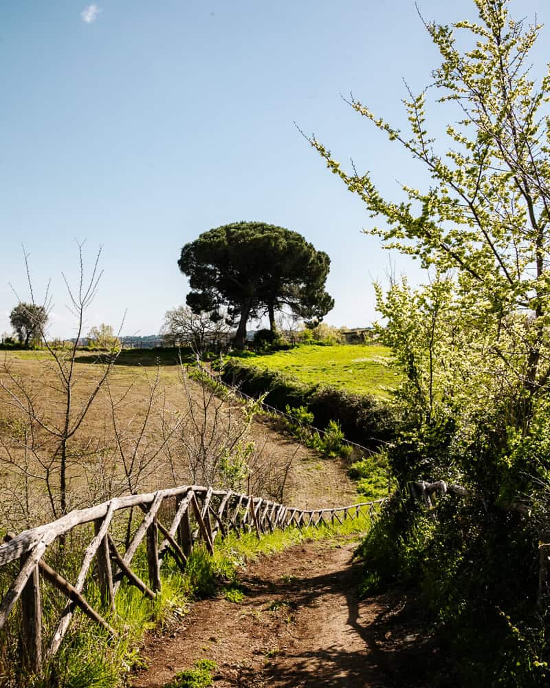 You walk an average of 24 kilometers per day during the Via Francigena.