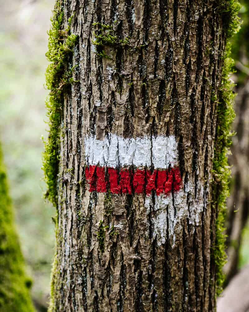 Via Francigena walk signs while walking the Via Francigena from Viterbo to Rome.