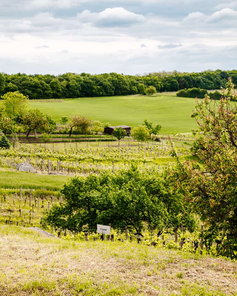 Südmähren liegt im Südosten der Tschechischen Republik, nahe der Grenze zu Österreich und der Slowakei, und ist als wichtigste Weinregion des Landes bekannt.