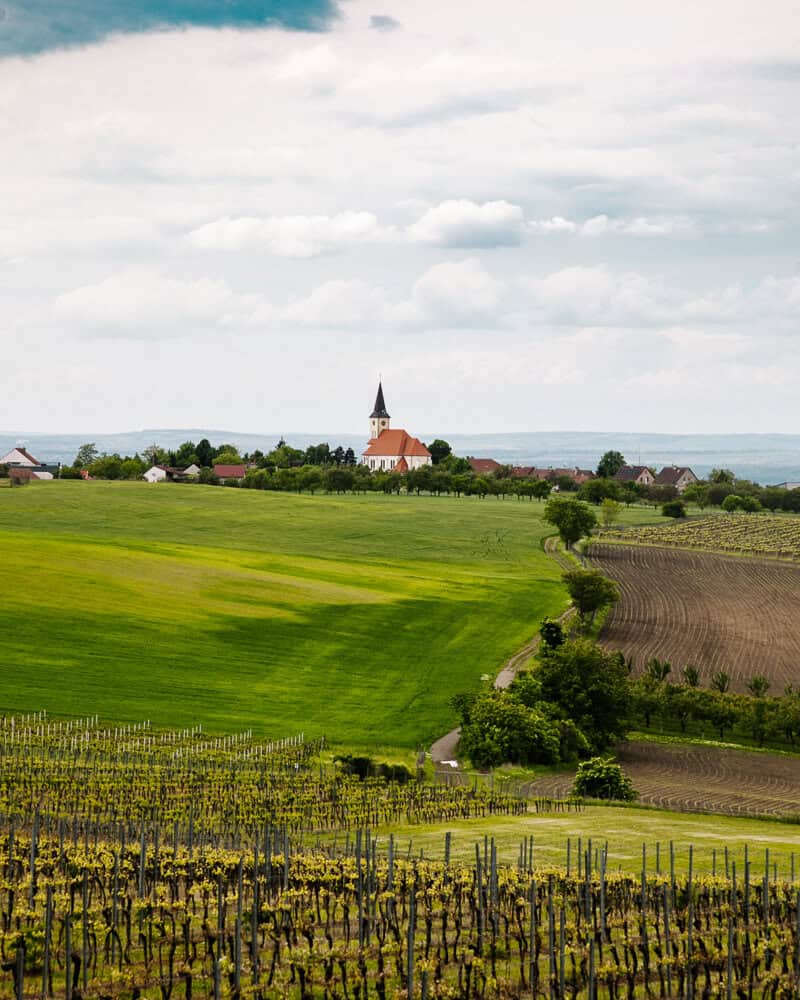 Ein erster Stopp auf diesem Südmähren Roadtrip ist das kleine Dorf Vrbice, das mitten zwischen sanften Weinbergen und nur etwa eine Stunde von Brünn entfernt liegt.