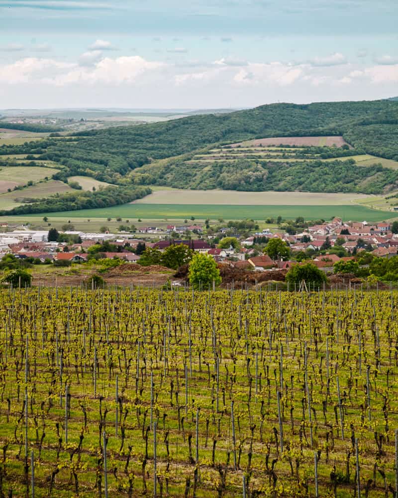 Ein schöner Stopp für alle, die nach beeindruckenden Sehenswürdigkeiten und Ausblicken in Südmähren suchen, ist die Kapelle von Hradištěk.