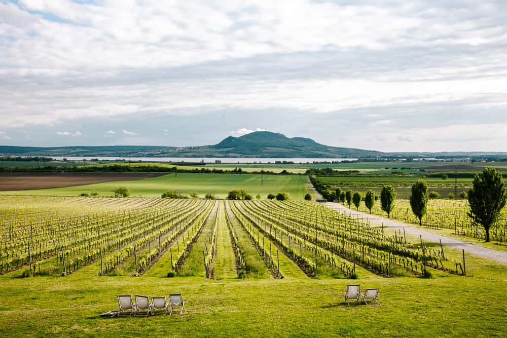 South Moravia road trip: The most beautiful route through the wine region of Czechia