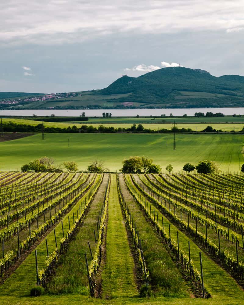 Ausblick vom Sonberk Winery in Südmähren, Tschechien.